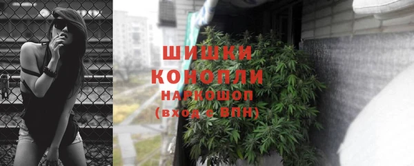 амф Осинники