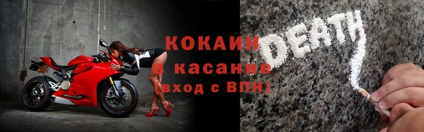 прущие грибы Алексин