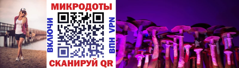наркота  Чехов  Галлюциногенные грибы MAGIC MUSHROOMS 