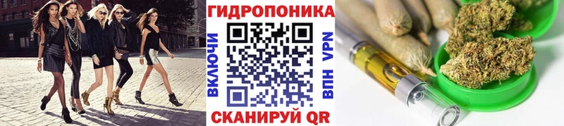 Бошки Шишки VHQ  Чехов 